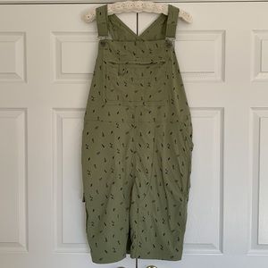 Duluth Trading Co. overalls
